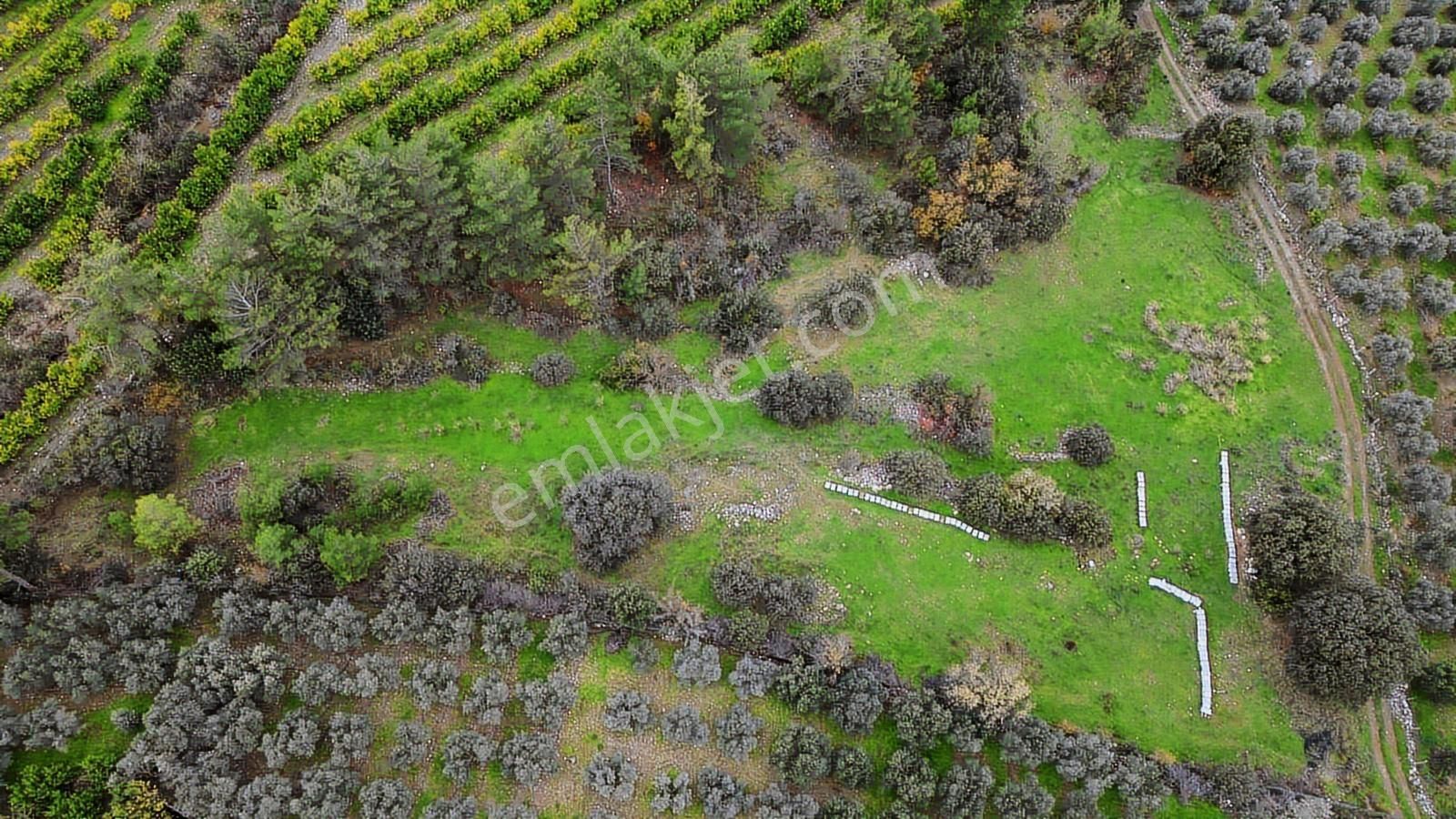 Dalaman Akkaya Gizli Vadi Akkaya'da Yatırımlık Fırsat Arsa - Görsel 10