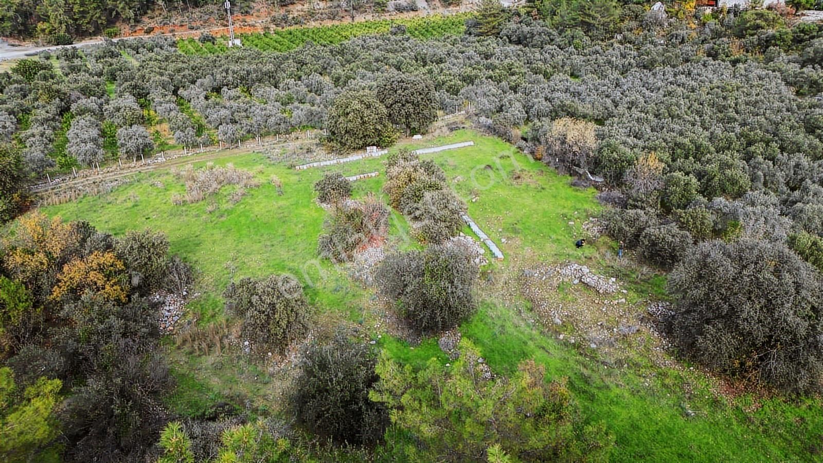 Dalaman Akkaya Gizli Vadi Akkaya'da Yatırımlık Fırsat Arsa - Görsel 8