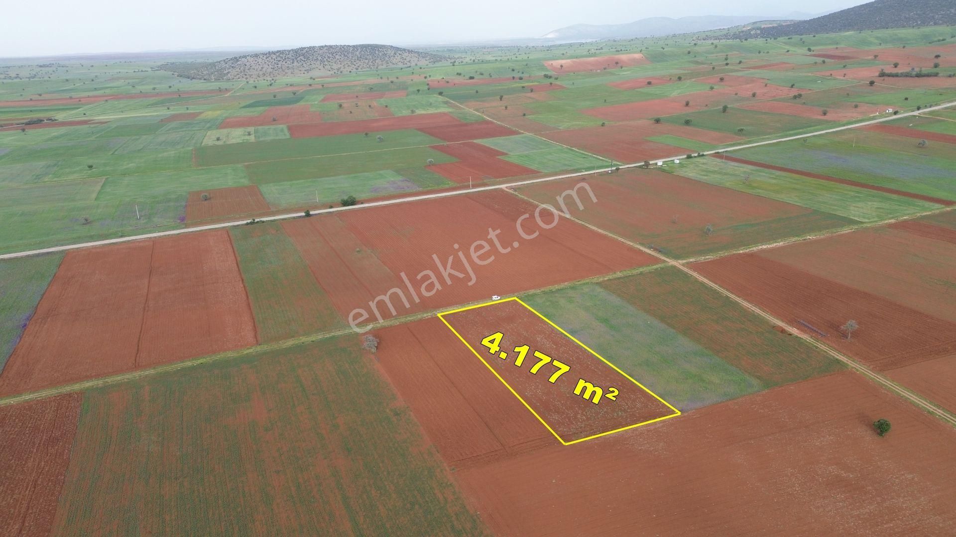 Konya / Akören / Karahüyük Mahallesinde 4.177 M² Müstakil Tapulu Tarla - Görsel 2
