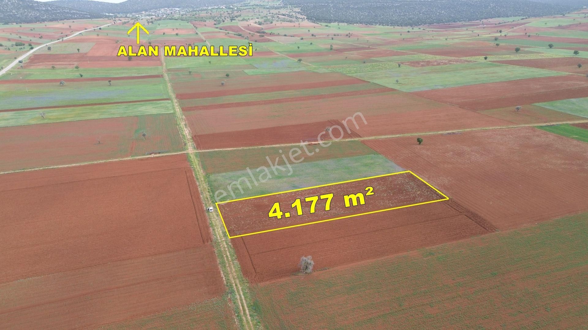 Konya / Akören / Karahüyük Mahallesinde 4.177 M² Müstakil Tapulu Tarla - Görsel 3