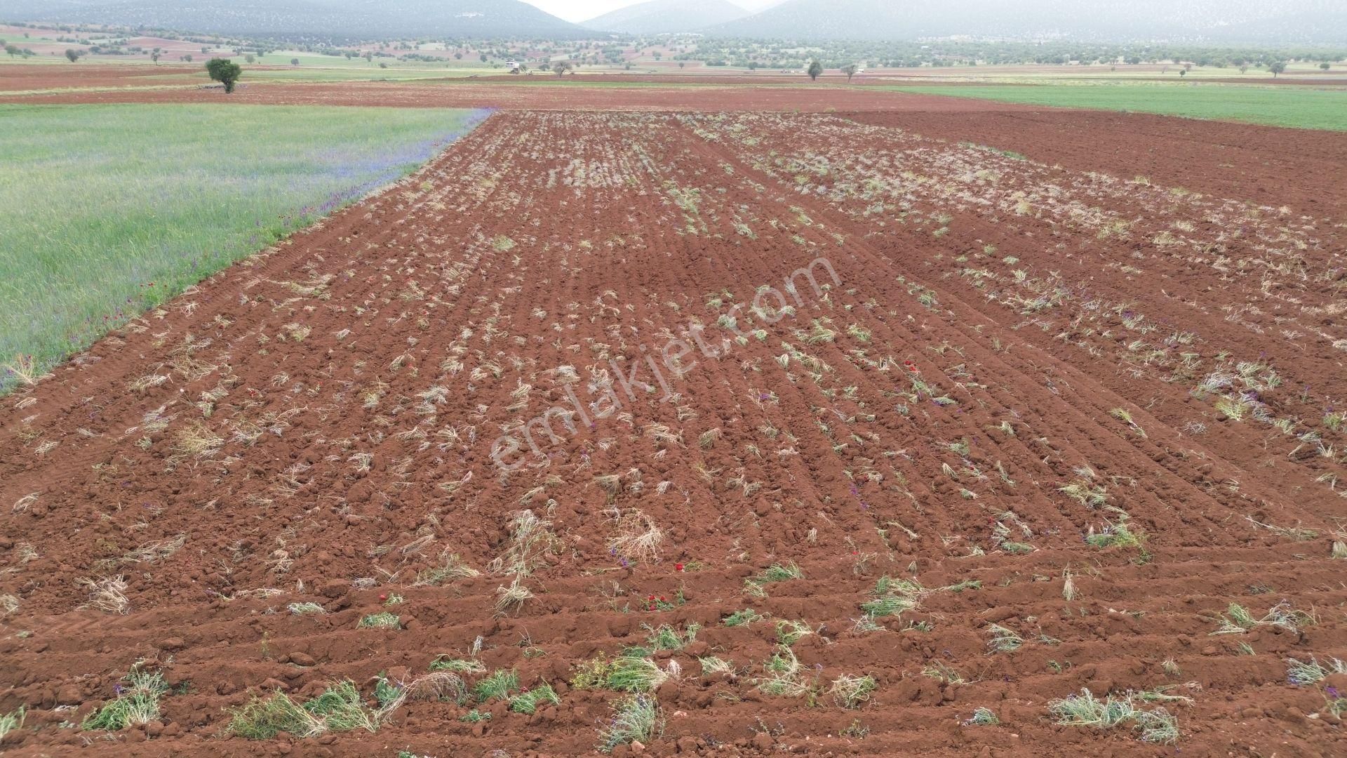 Konya / Akören / Karahüyük Mahallesinde 4.177 M² Müstakil Tapulu Tarla - Görsel 5