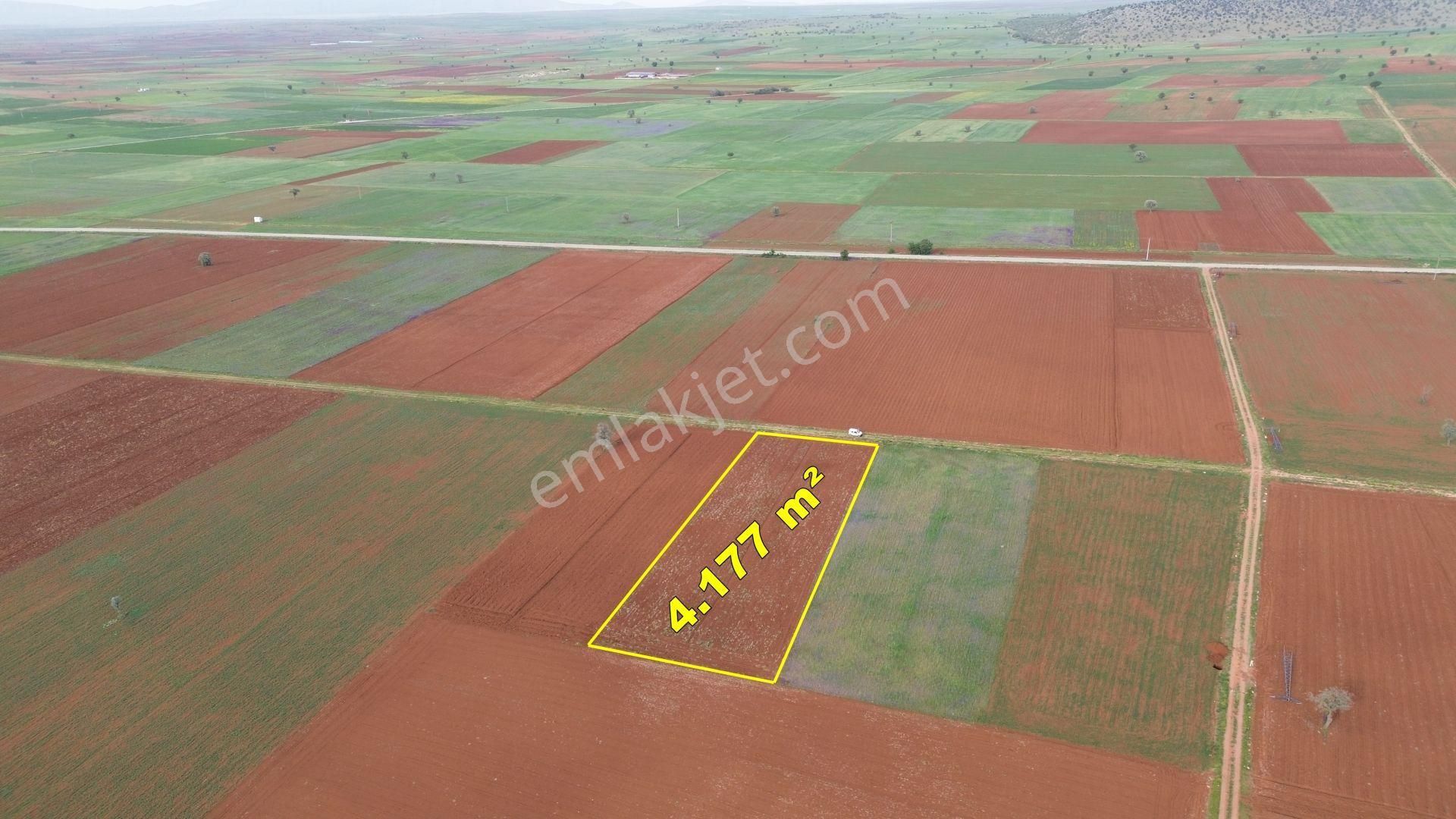 Konya / Akören / Karahüyük Mahallesinde 4.177 M² Müstakil Tapulu Tarla - Görsel 4