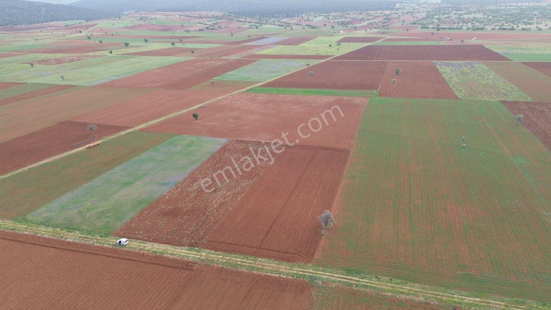 Konya / Akören / Karahüyük Mahallesinde 4.177 M² Müstakil Tapulu Tarla - Görsel 6