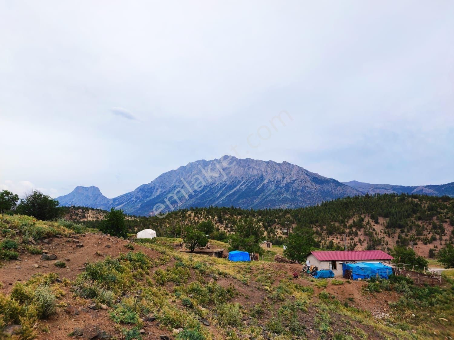 Pozantı Kar Emlak Tan Kamışlı Yaylası'nda İmara Uygun 1650 M2 Satılık Tarla - Görsel 7