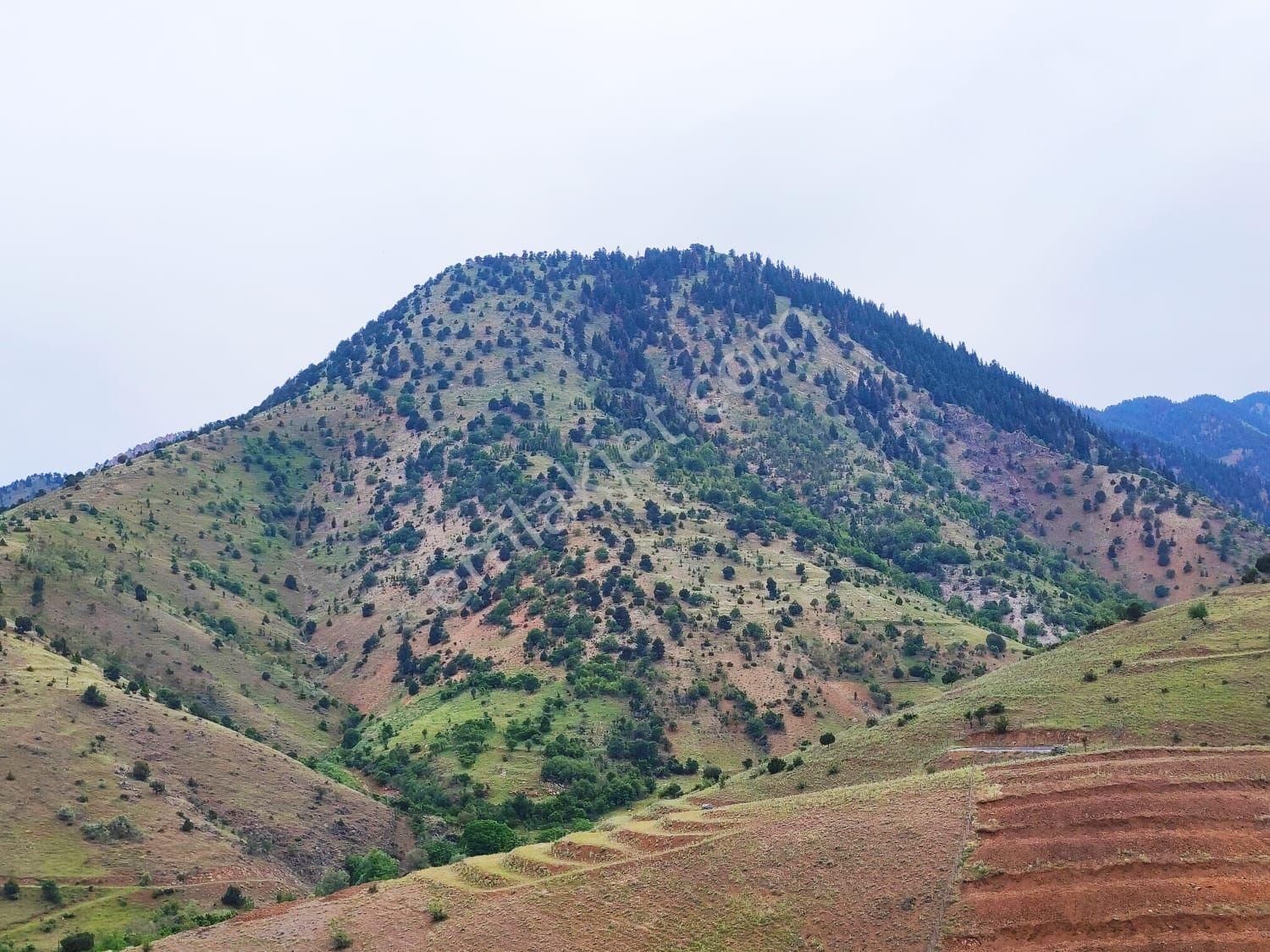 Pozantı Kar Emlak Tan Kamışlı Yaylası'nda İmara Uygun 1650 M2 Satılık Tarla - Görsel 11