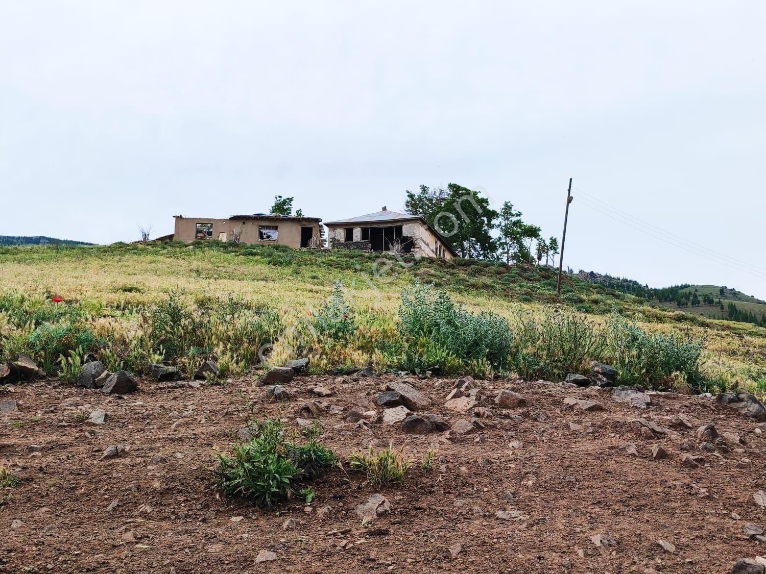 Pozantı Kar Emlak Tan Kamışlı Yaylası'nda İmara Uygun 1650 M2 Satılık Tarla - Görsel 6