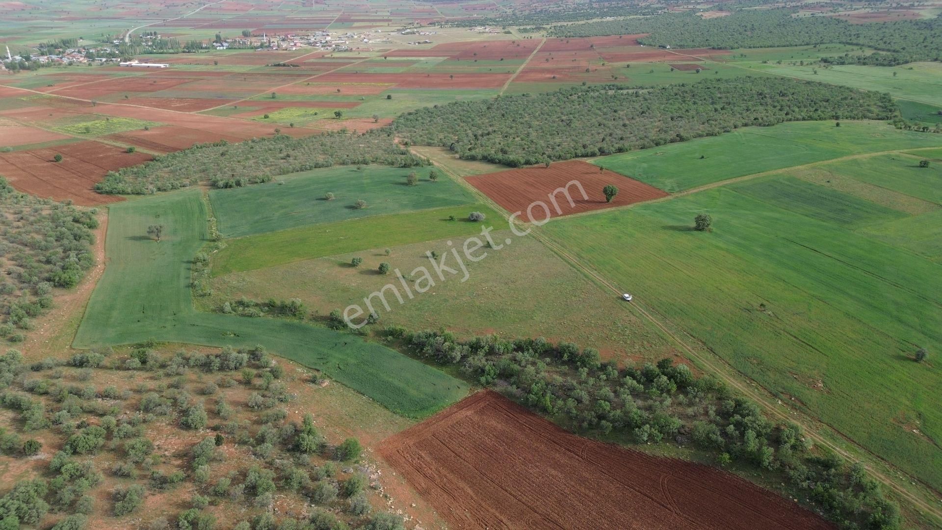 Konya / Akören / Karahüyük Mahallesinde 2.194 M² Müstakil Tapulu Tarla - Görsel 6