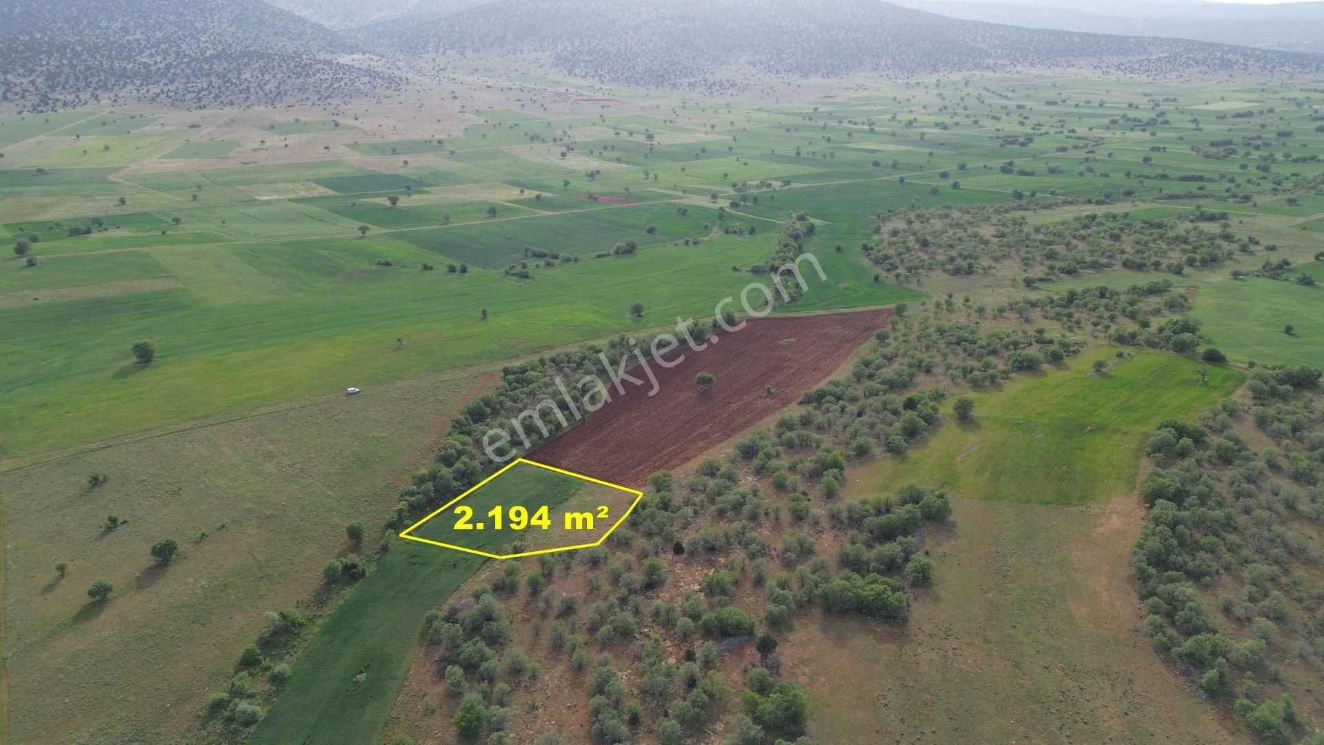 Konya / Akören / Karahüyük Mahallesinde 2.194 M² Müstakil Tapulu Tarla - Görsel 4