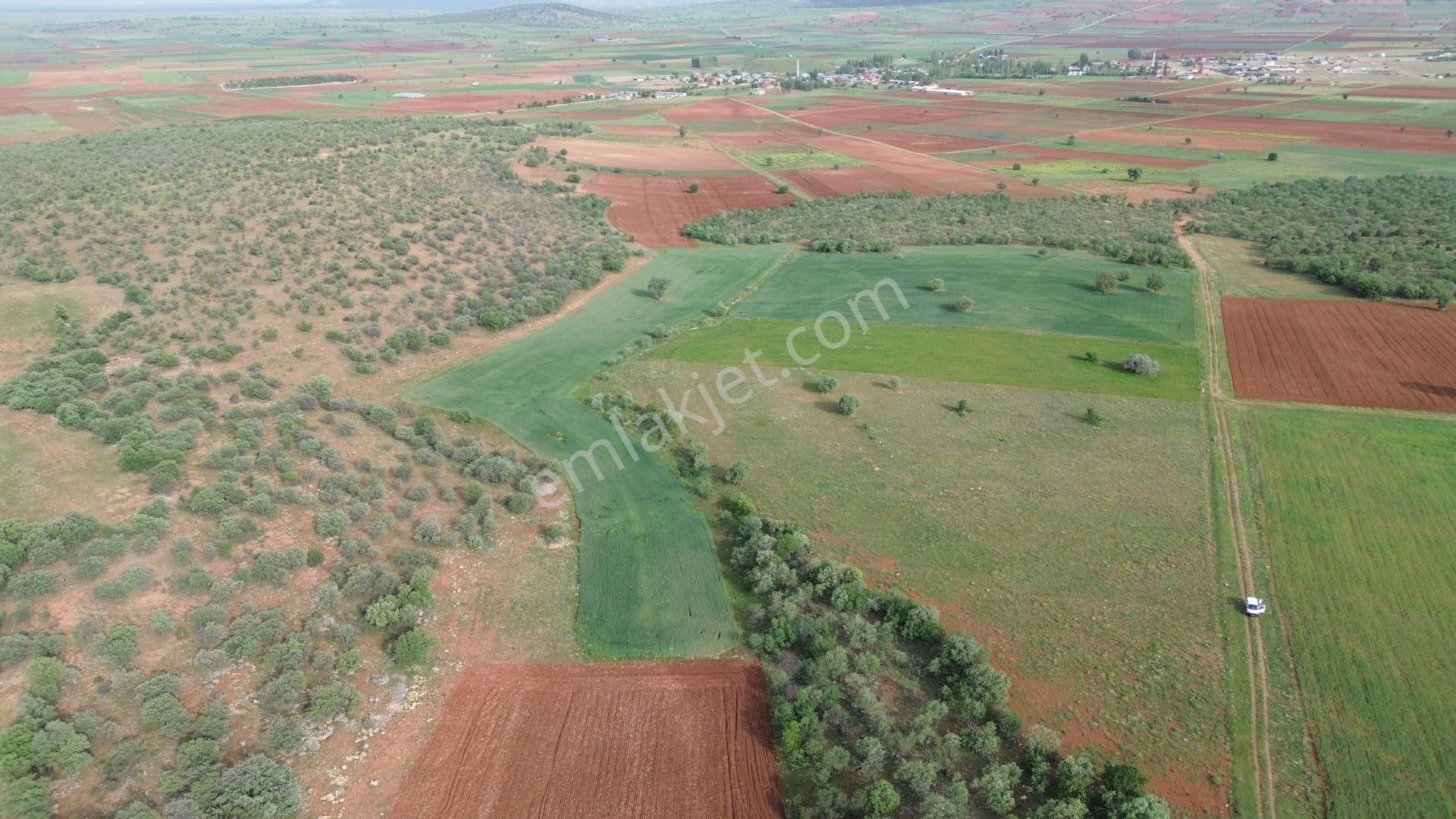Konya / Akören / Karahüyük Mahallesinde 2.194 M² Müstakil Tapulu Tarla - Görsel 5