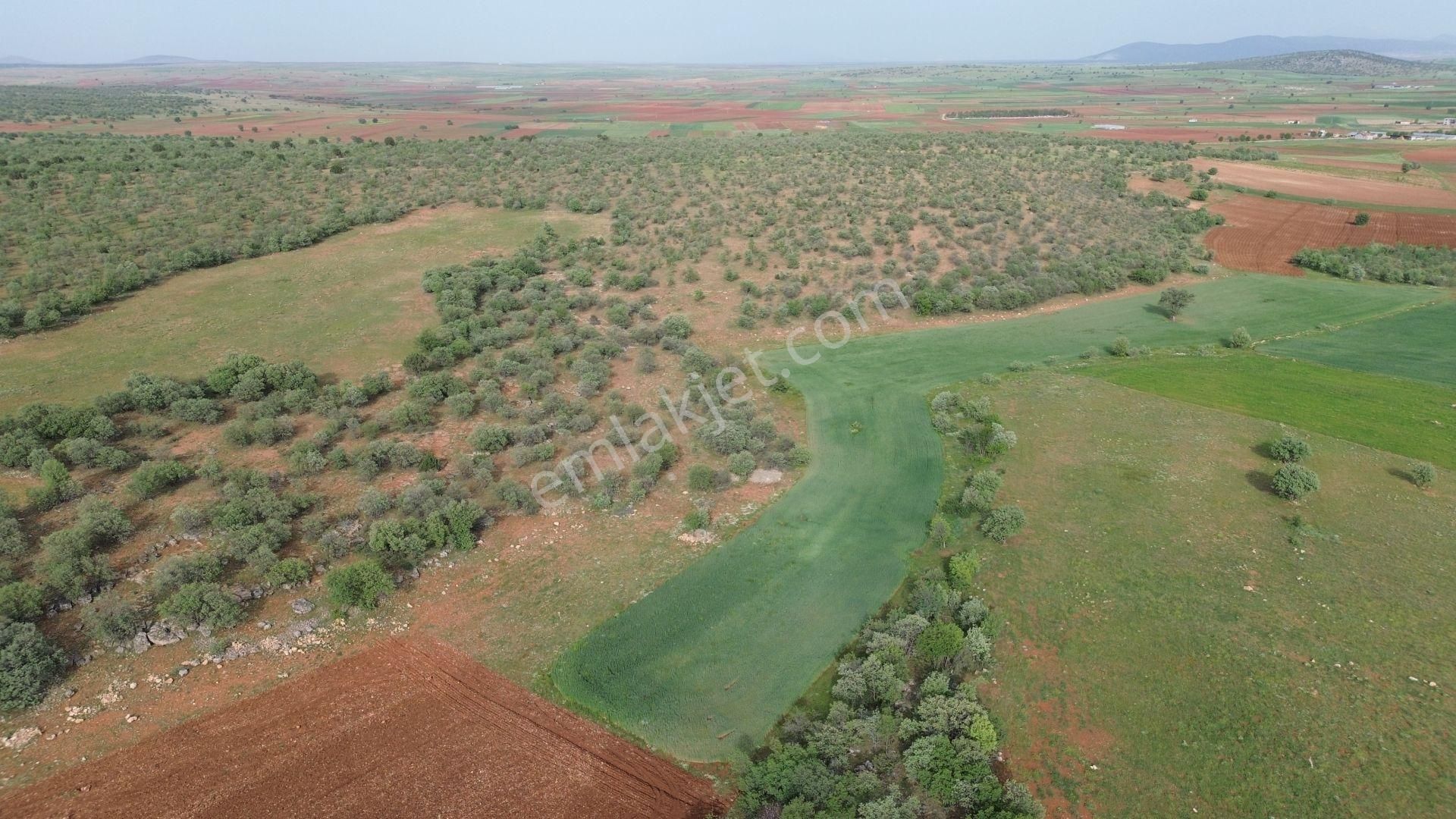 Konya / Akören / Karahüyük Mahallesinde 2.194 M² Müstakil Tapulu Tarla - Görsel 3