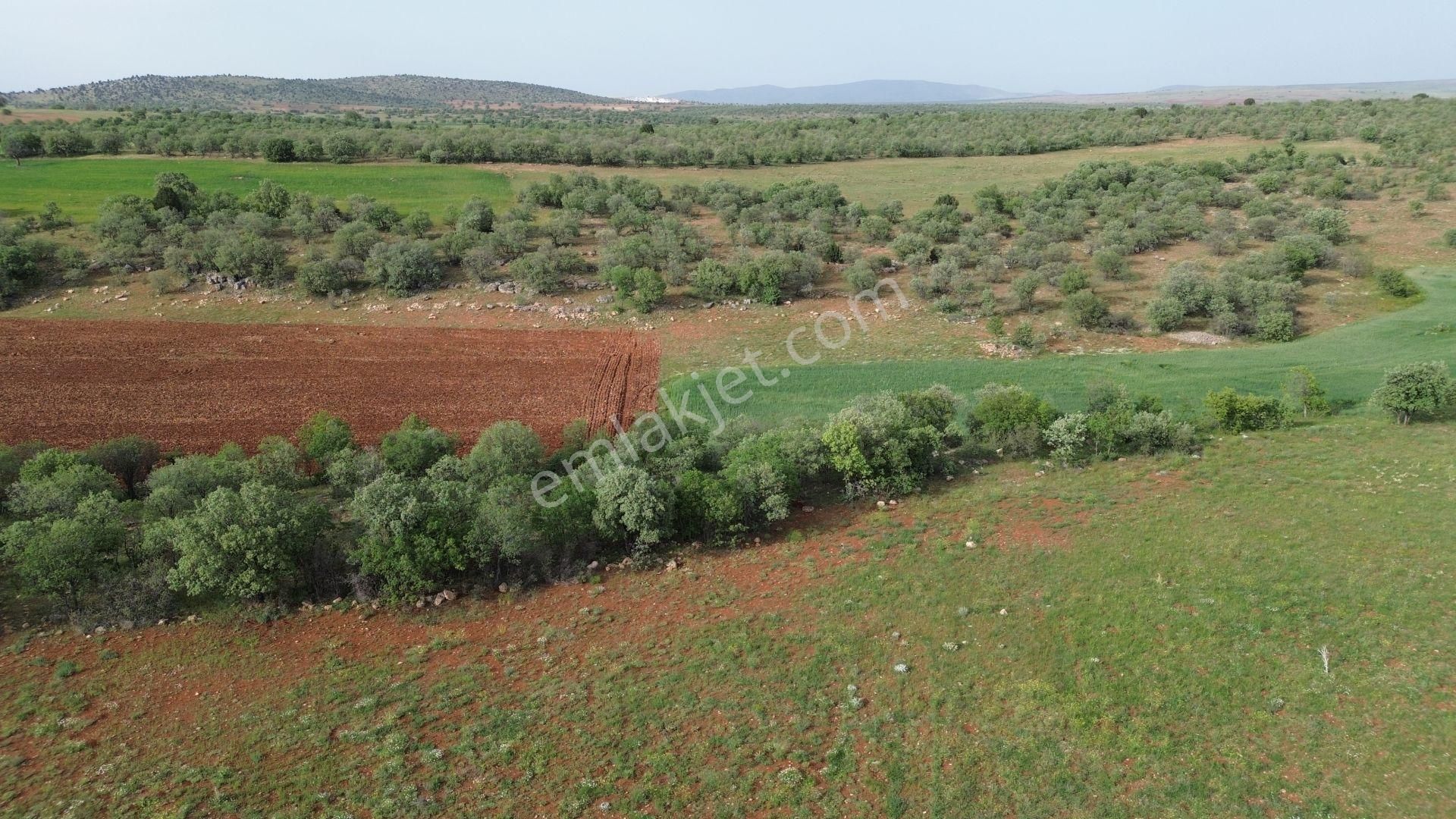 Konya / Akören / Karahüyük Mahallesinde 2.194 M² Müstakil Tapulu Tarla - Görsel 2