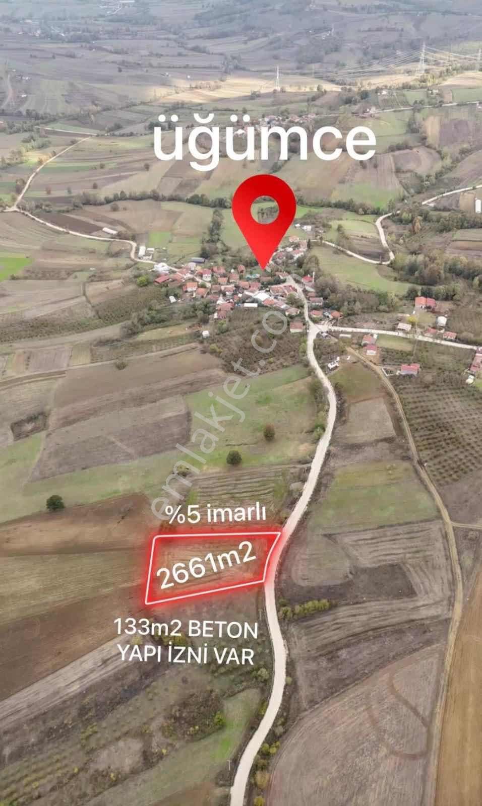 Tarcanlardan Üğümce Köyü Yakını Anayol Üzerinde Satılık Tarla