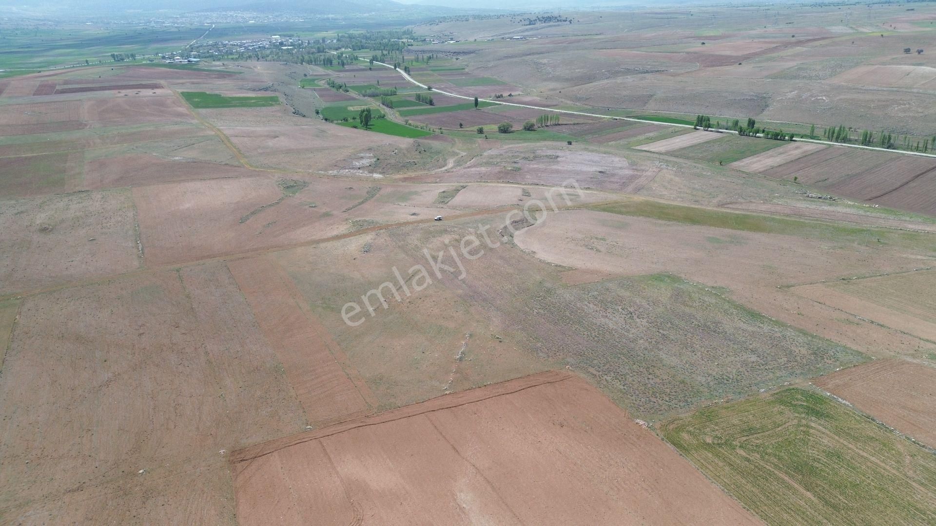 Konya / Akören / Orhaniye 14.903 M² Müstakil Tapulu Tarla - Görsel 3