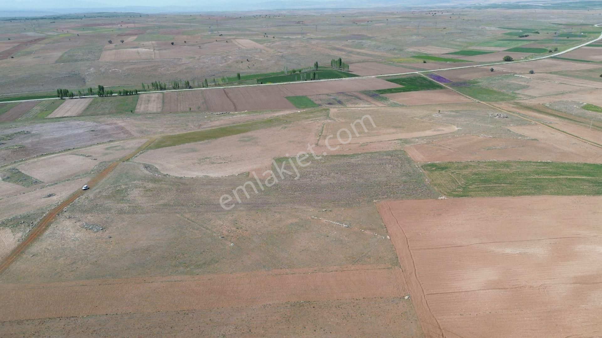Konya / Akören / Orhaniye 14.903 M² Müstakil Tapulu Tarla - Görsel 2
