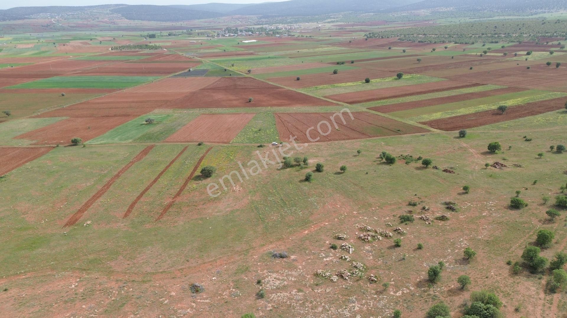 Konya / Akören / Hacılar Mahallesinde 4.923 M² Müstakil Tapulu Tarla - Görsel 7