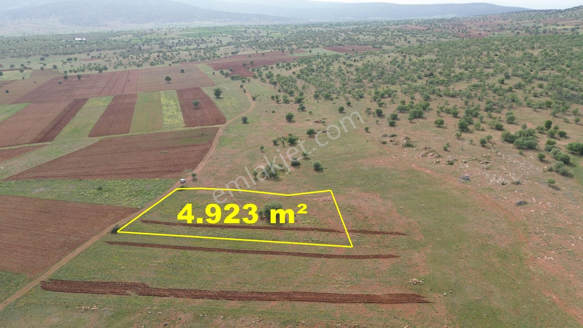 Konya / Akören / Hacılar Mahallesinde 4.923 M² Müstakil Tapulu Tarla - Görsel 3