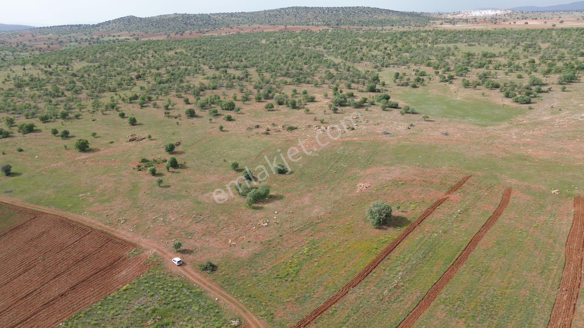 Konya / Akören / Hacılar Mahallesinde 4.923 M² Müstakil Tapulu Tarla - Görsel 4