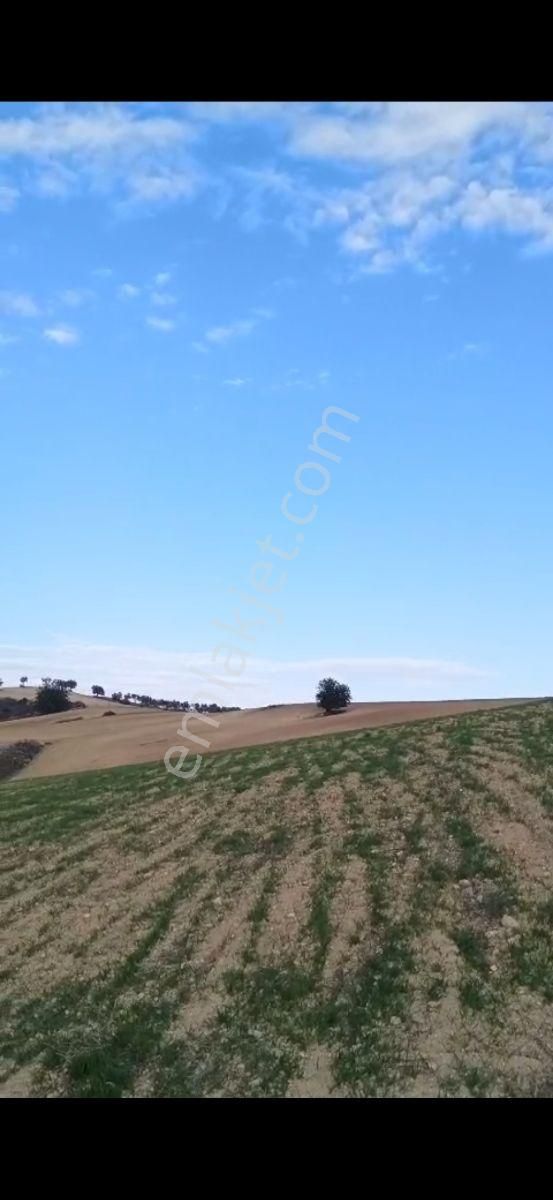 Çukurova Kabasakalda 1740 M2 Tek Tapu Villa Yoğunluklu Arsa - Görsel 4