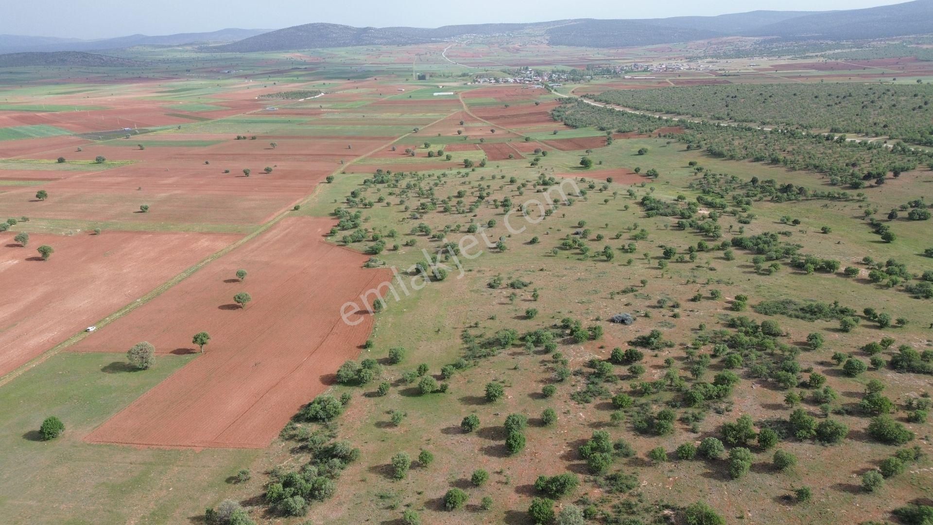 Konya / Akören / Hacılar Mahallesinde 3.723 M² Müstakil Tapulu Tarla - Görsel 7