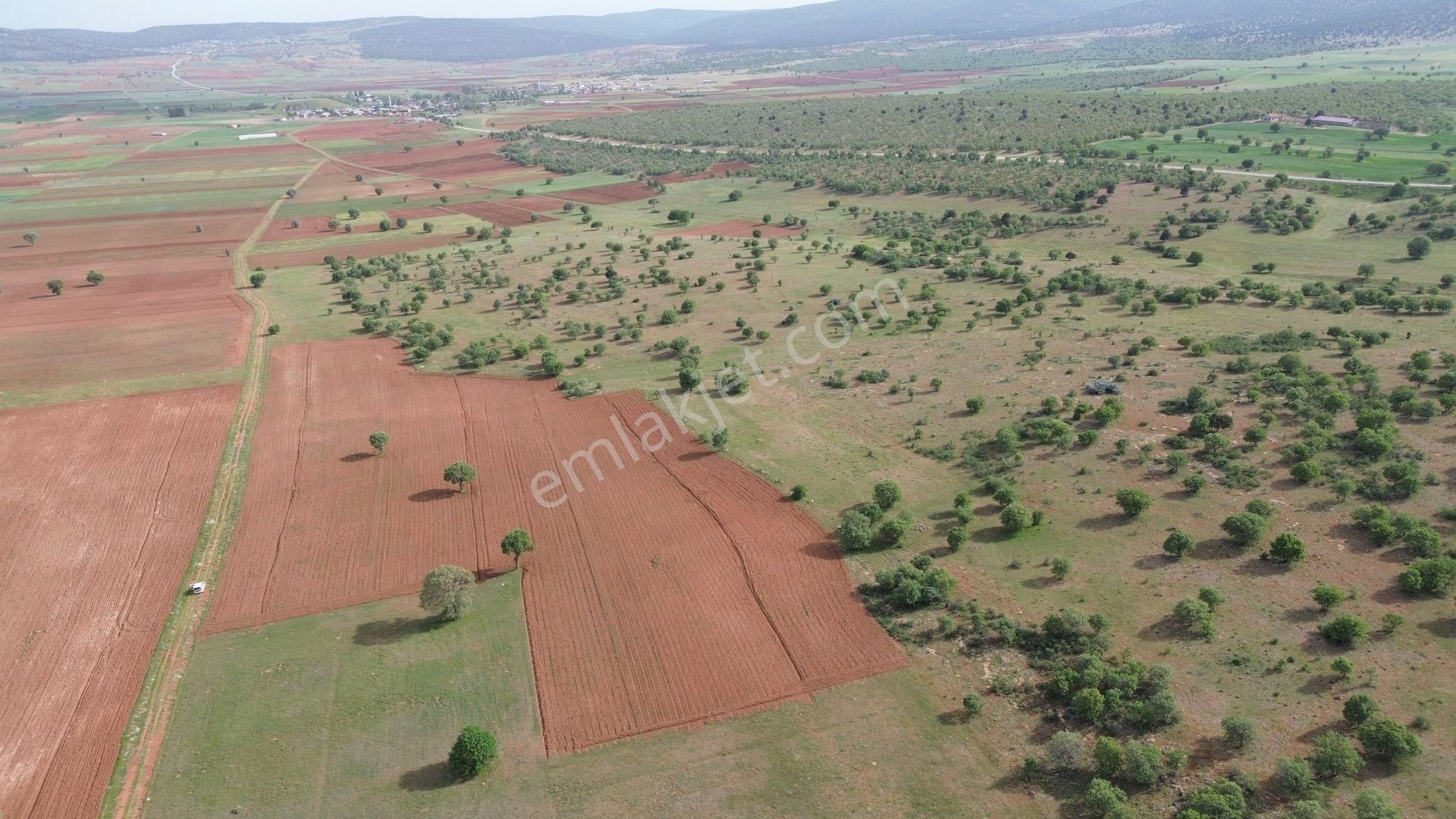 Konya / Akören / Hacılar Mahallesinde 3.723 M² Müstakil Tapulu Tarla - Görsel 3