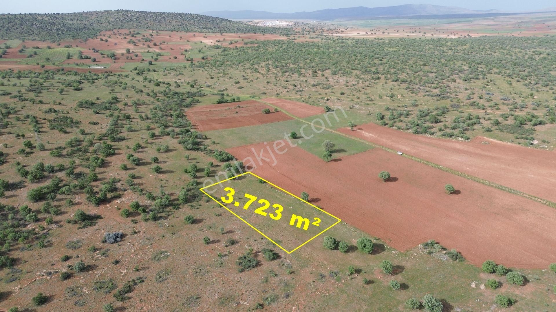 Konya / Akören / Hacılar Mahallesinde 3.723 M² Müstakil Tapulu Tarla - Görsel 6