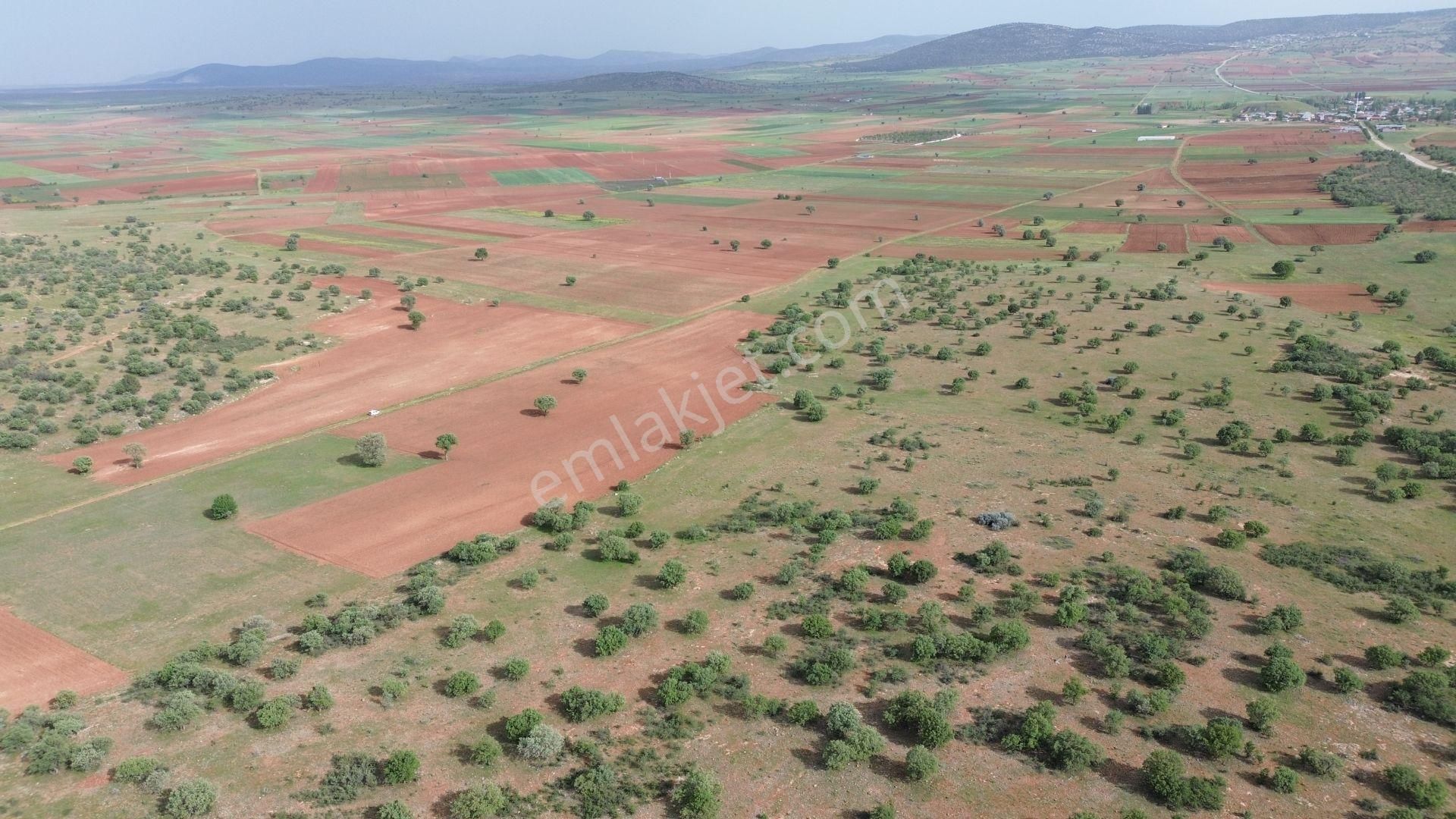 Konya / Akören / Hacılar Mahallesinde 3.723 M² Müstakil Tapulu Tarla - Görsel 8