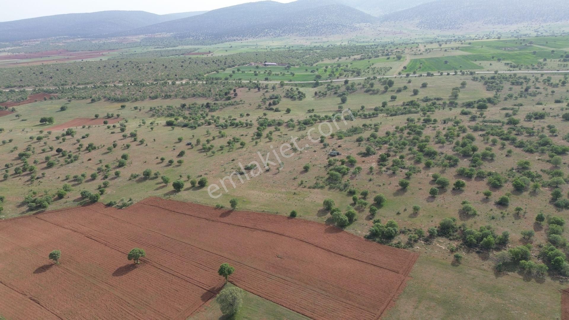 Konya / Akören / Hacılar Mahallesinde 3.723 M² Müstakil Tapulu Tarla - Görsel 4