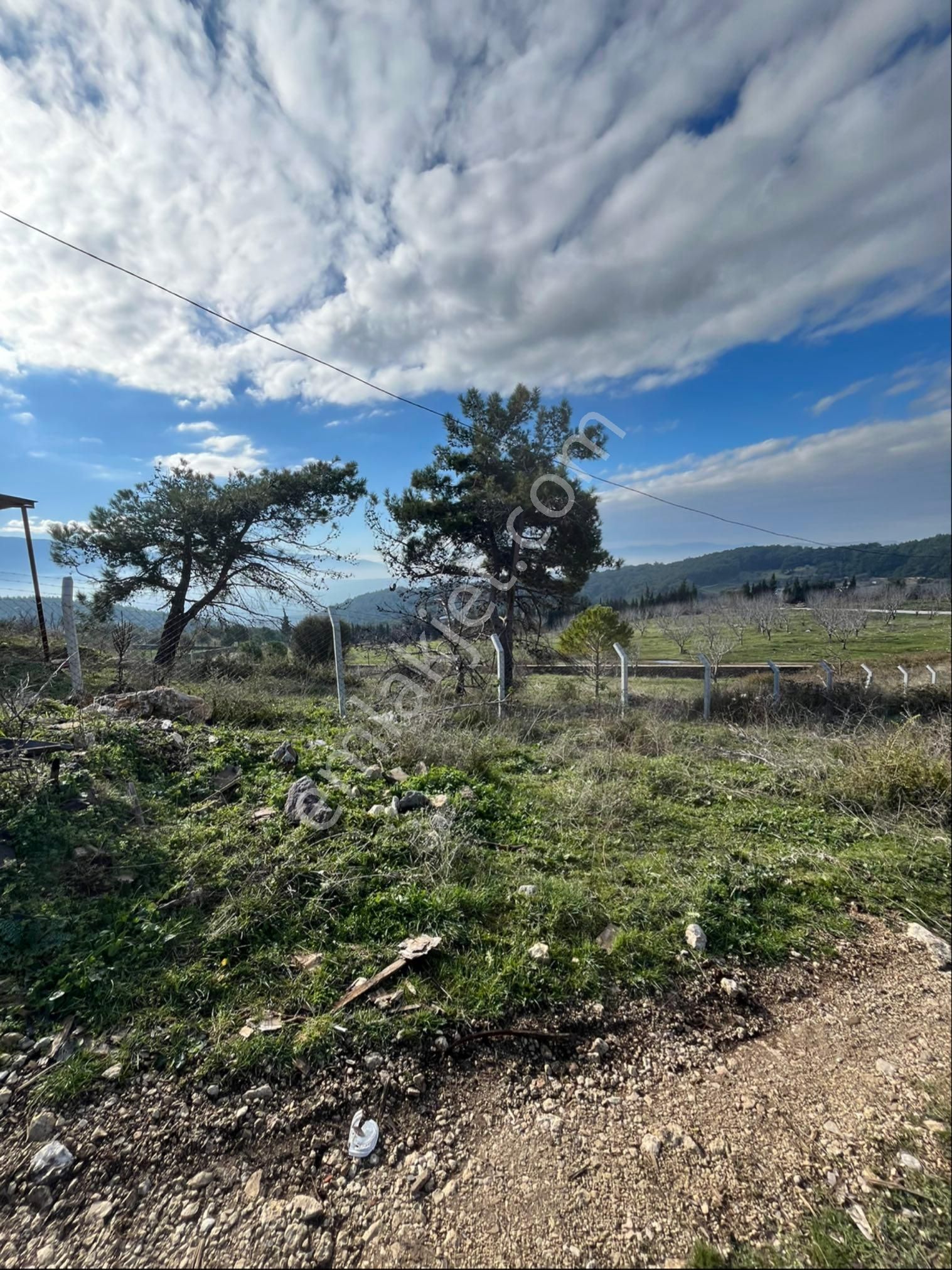 İzmir Bornova Yakaköy Örendere Mevkinde Satılık Bahçe - Görsel 20