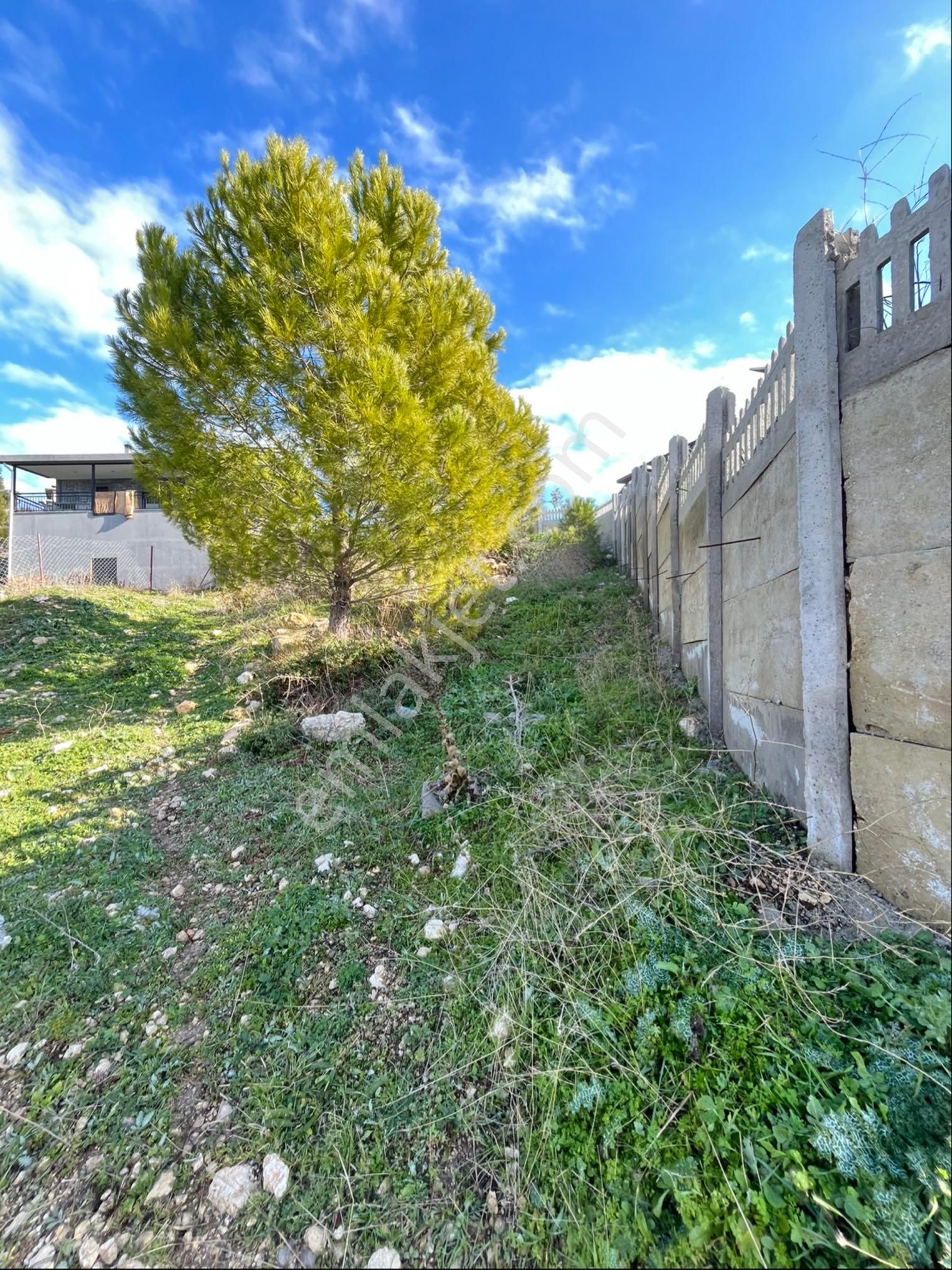 İzmir Bornova Yakaköy Örendere Mevkinde Satılık Bahçe - Görsel 3