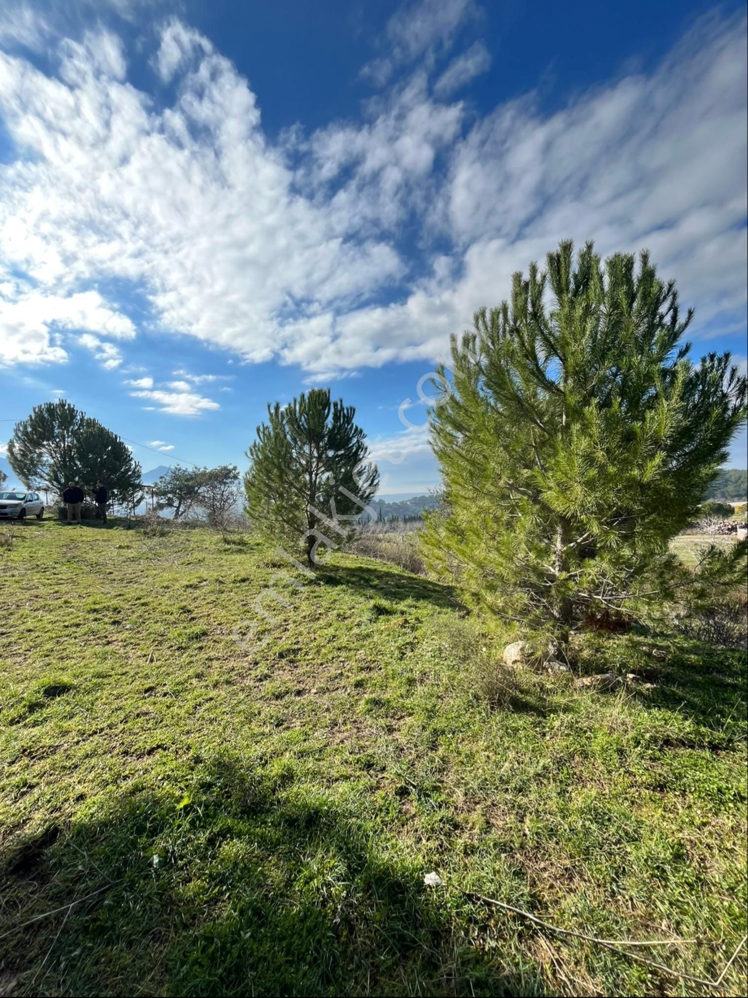 İzmir Bornova Yakaköy Örendere Mevkinde Satılık Bahçe - Görsel 11