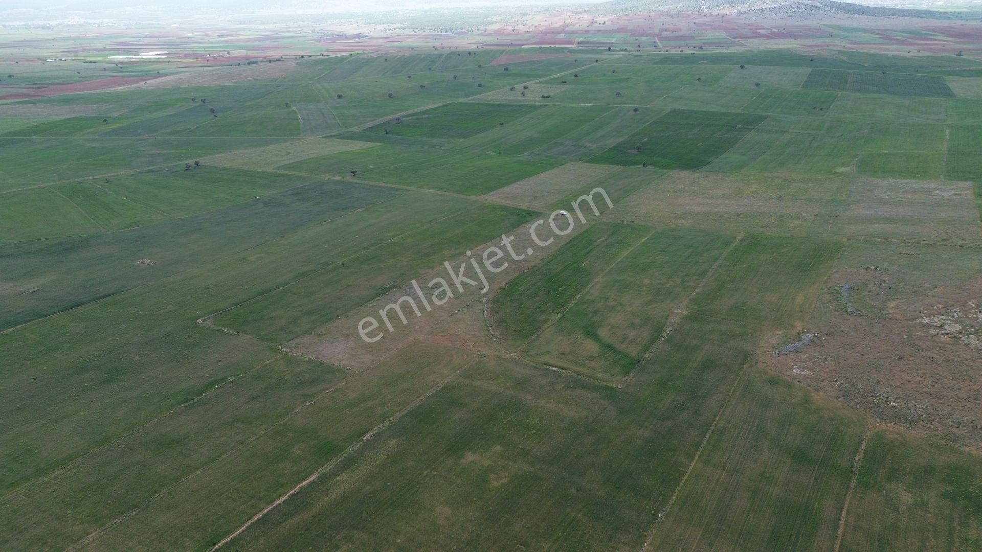 Konya / Akören / Orhaniye Mahallesinde 7.496 M² Müstakil Tapulu Tarla - Görsel 6