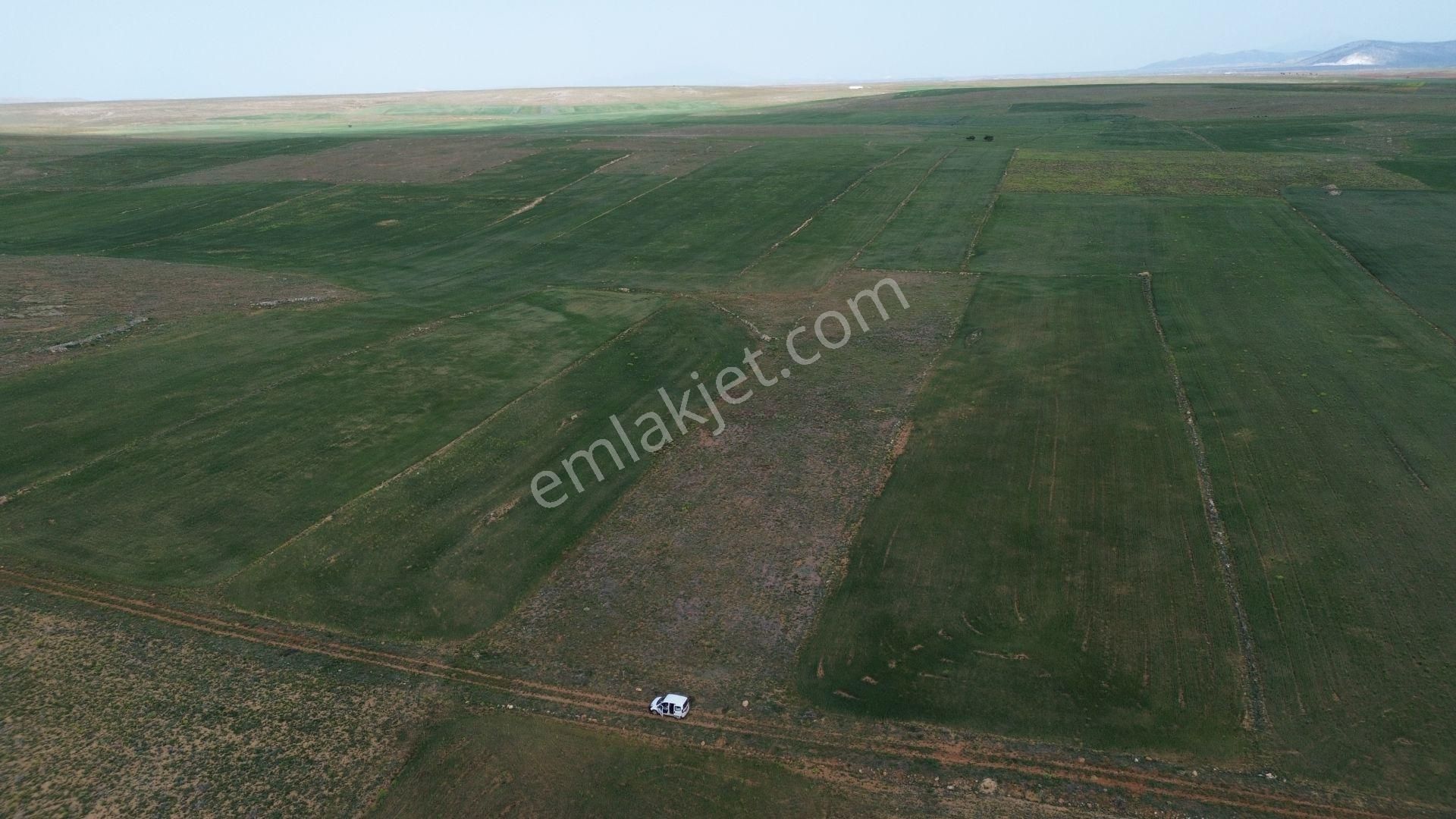 Konya / Akören / Orhaniye Mahallesinde 7.496 M² Müstakil Tapulu Tarla - Görsel 4