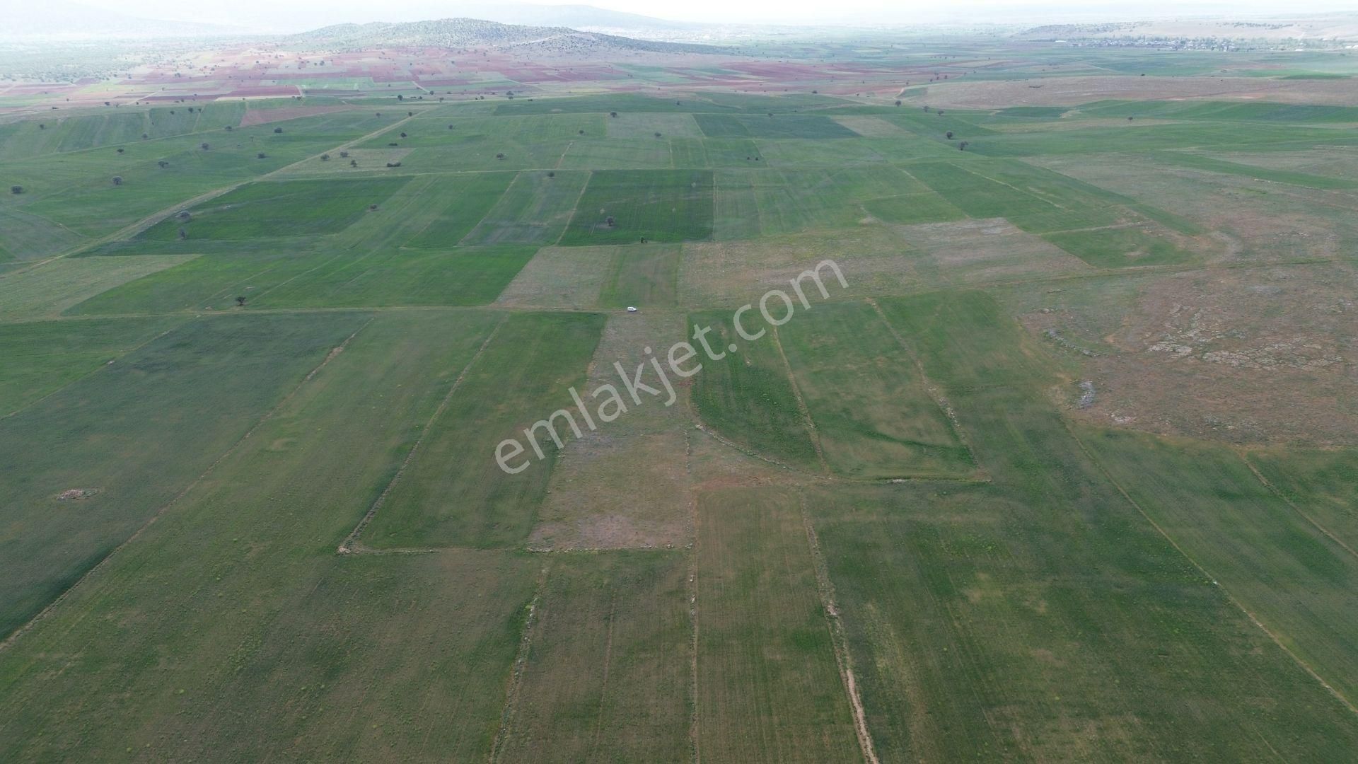 Konya / Akören / Orhaniye Mahallesinde 7.496 M² Müstakil Tapulu Tarla - Görsel 2