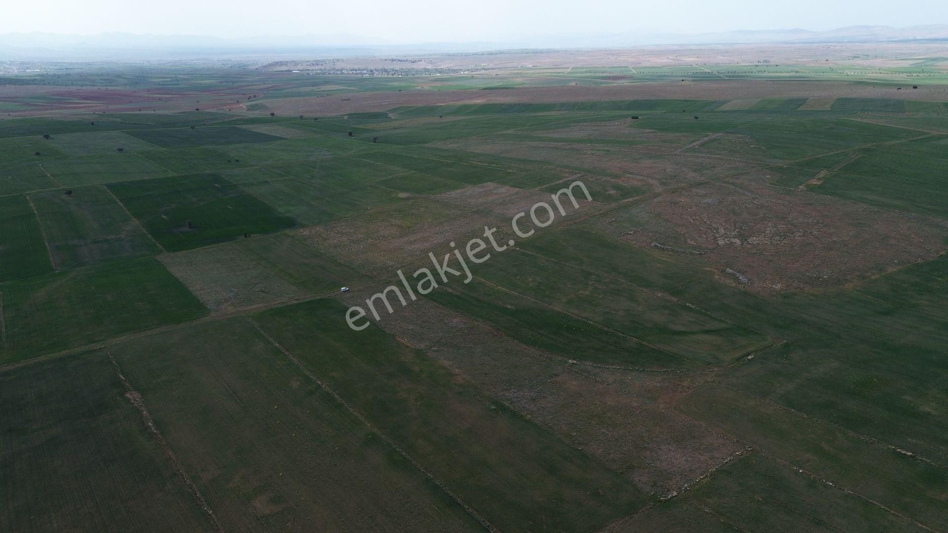 Konya / Akören / Orhaniye Mahallesinde 7.496 M² Müstakil Tapulu Tarla - Görsel 3