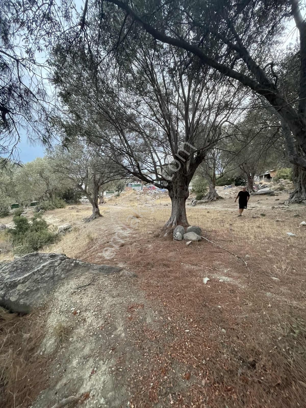 Eğridere De Harika Konum - Görsel 11