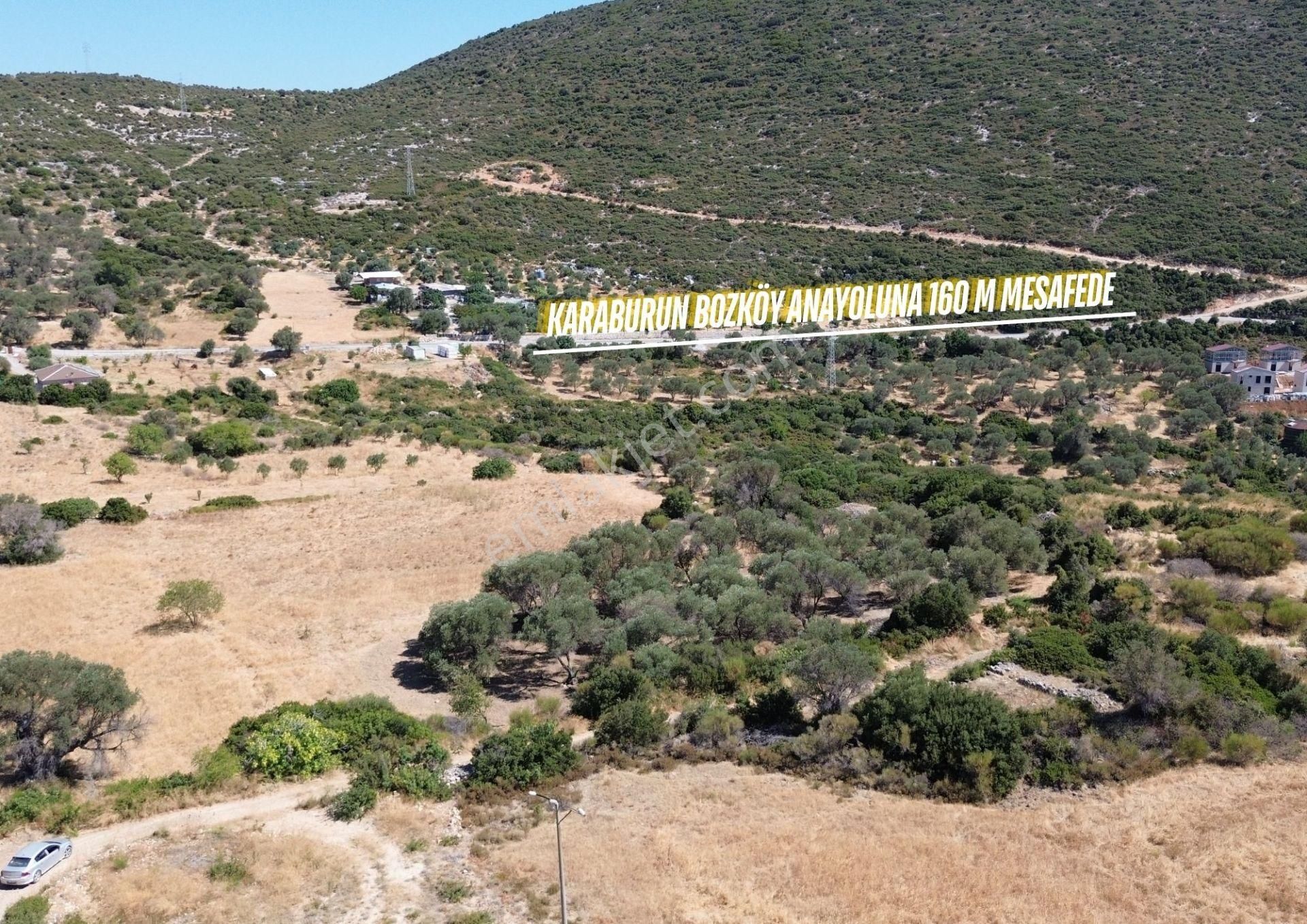 Karaburun Bozköy’de Yatırım Fırsatı Satılık Tarla - Görsel 24
