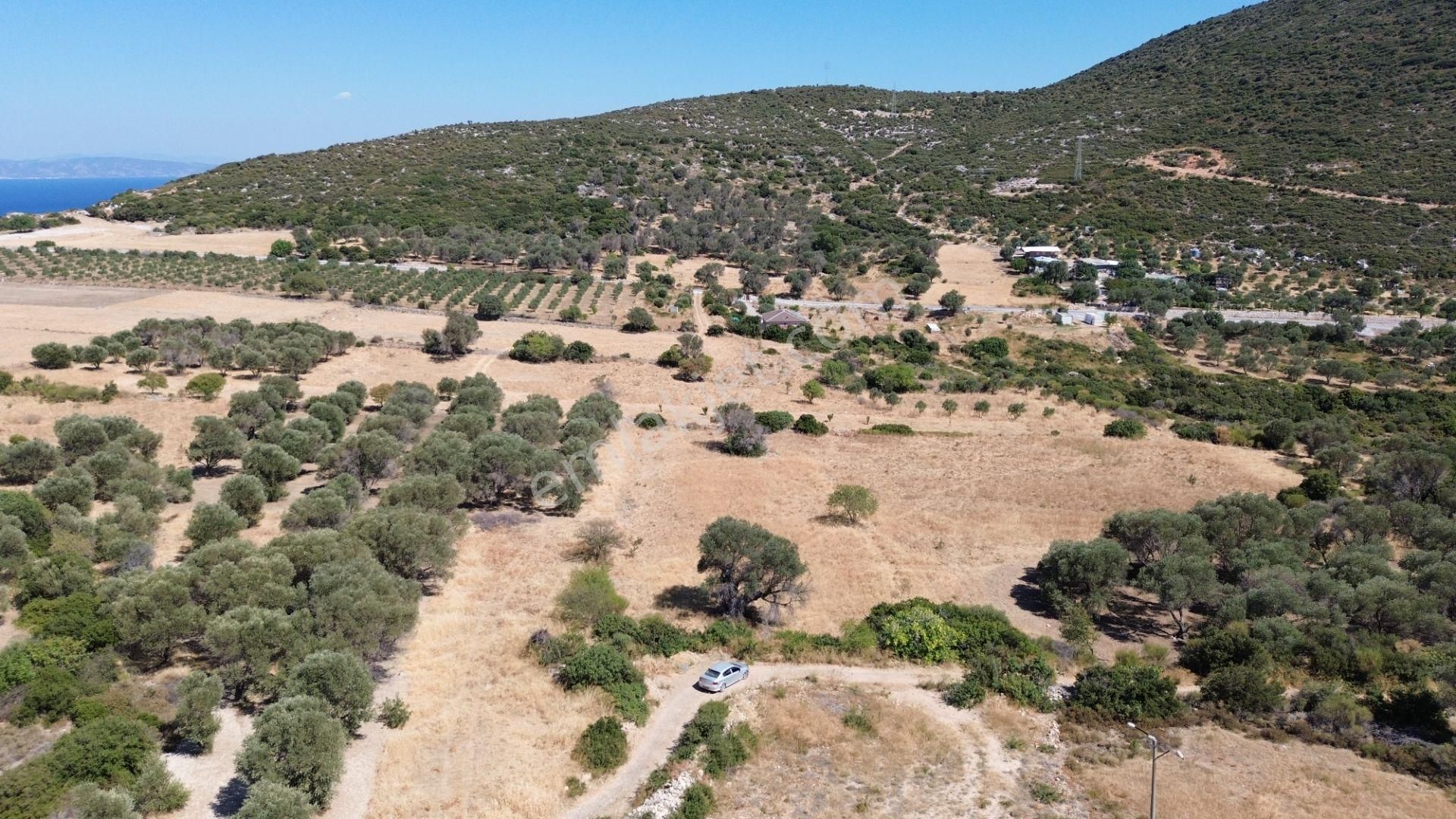 Karaburun Bozköy’de Yatırım Fırsatı Satılık Tarla - Görsel 14