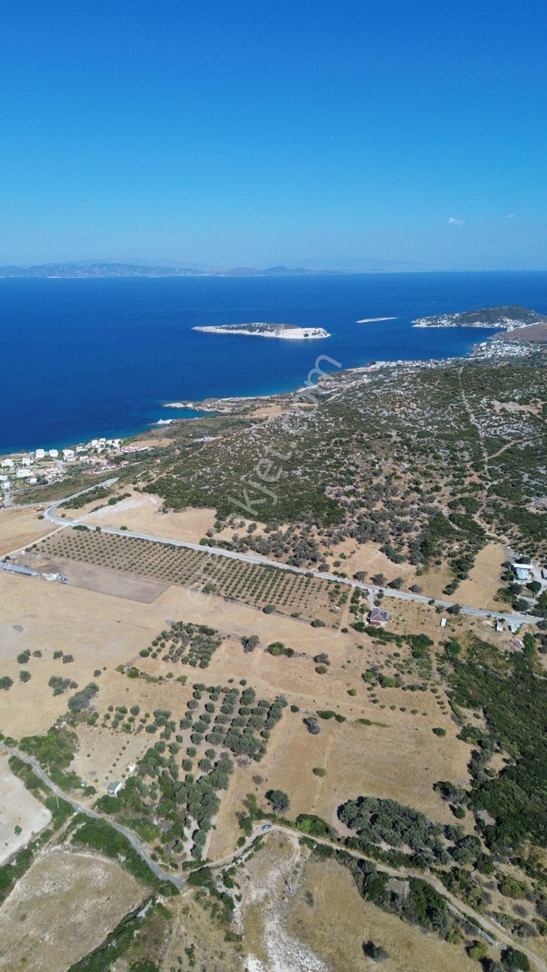 Karaburun Bozköy’de Yatırım Fırsatı Satılık Tarla - Görsel 8