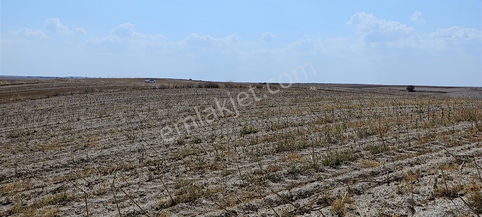 Bahçeağıl Tek Tapu Tarla - Görsel 6
