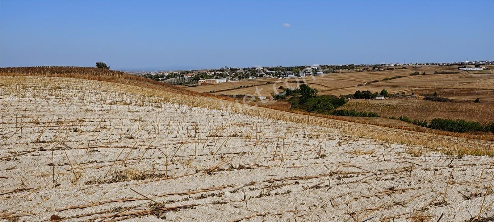 Bahçeağıl Tek Tapu Tarla - Görsel 5