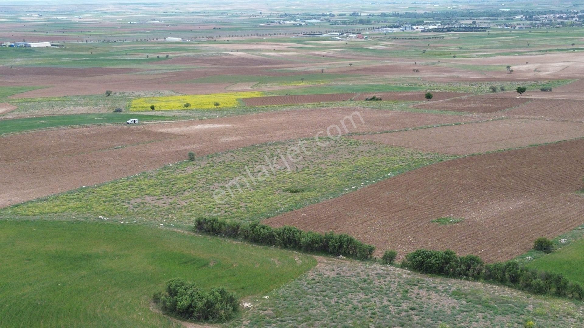 Konya / Meram / Güneydere Mahallesinde 3.400 M² Müstakil Tapulu Tarla - Görsel 5