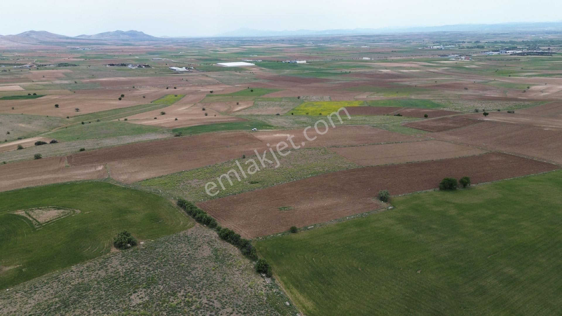 Konya / Meram / Güneydere Mahallesinde 3.400 M² Müstakil Tapulu Tarla - Görsel 9