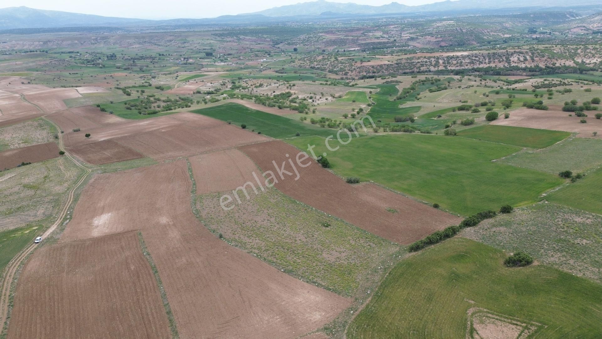 Konya / Meram / Güneydere Mahallesinde 3.400 M² Müstakil Tapulu Tarla - Görsel 6