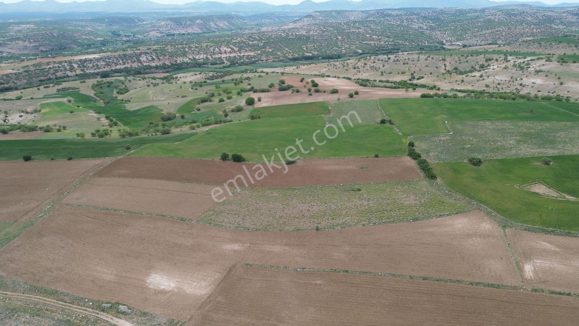 Konya / Meram / Güneydere Mahallesinde 3.400 M² Müstakil Tapulu Tarla - Görsel 2