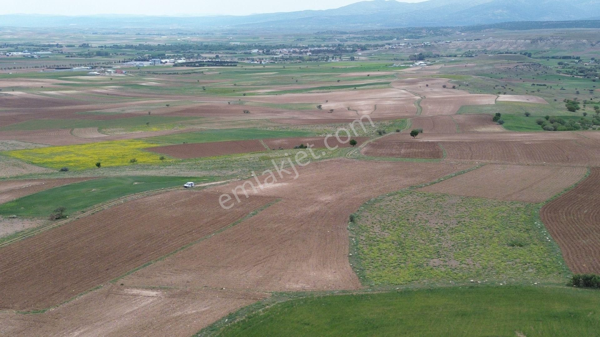 Konya / Meram / Güneydere Mahallesinde 3.400 M² Müstakil Tapulu Tarla - Görsel 8