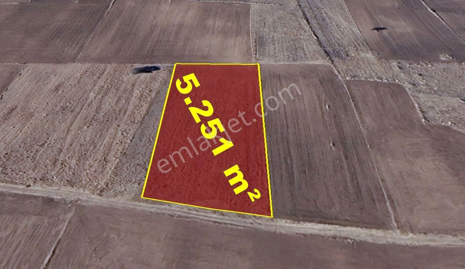 Konya / Akören / Orhaniye Mahallesinde 5.251 M² Müstakil Tapulu Tarla - Görsel 4