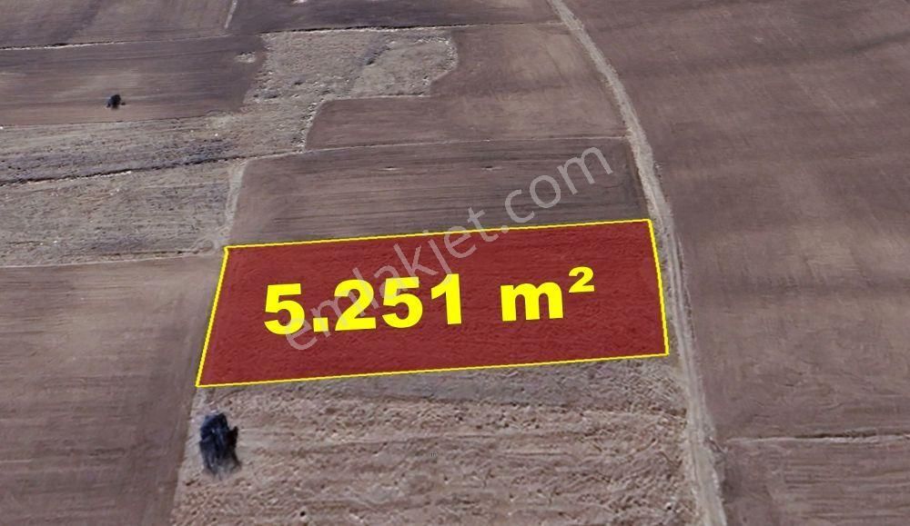 Konya / Akören / Orhaniye Mahallesinde 5.251 M² Müstakil Tapulu Tarla - Görsel 6