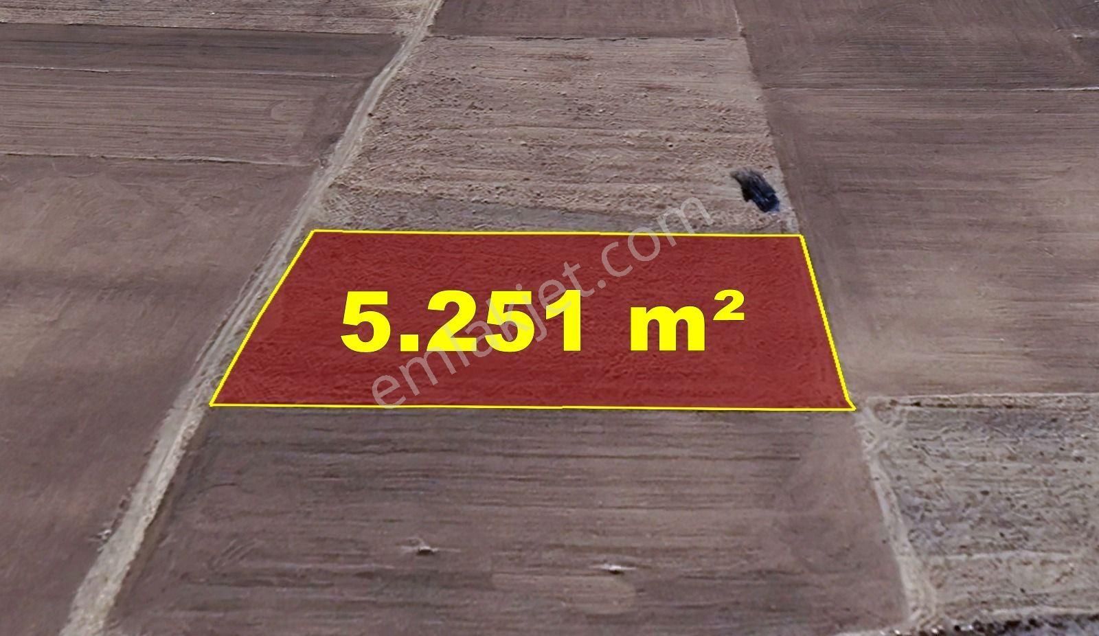 Konya / Akören / Orhaniye Mahallesinde 5.251 M² Müstakil Tapulu Tarla - Görsel 5