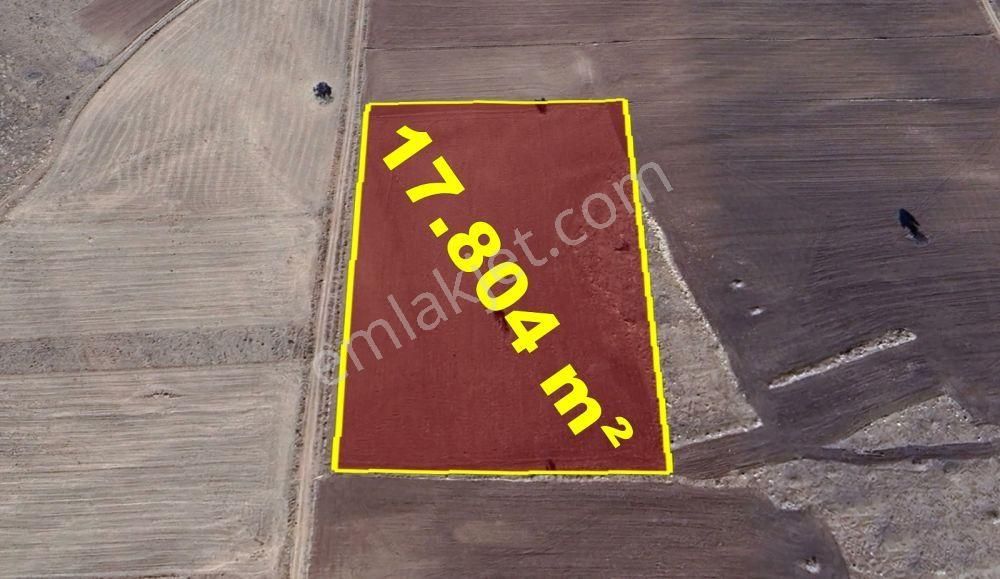 Konya / Akören / Orhaniye Mahallesinde 17.804 M² Müstakil Tapulu Tarla - Görsel 4