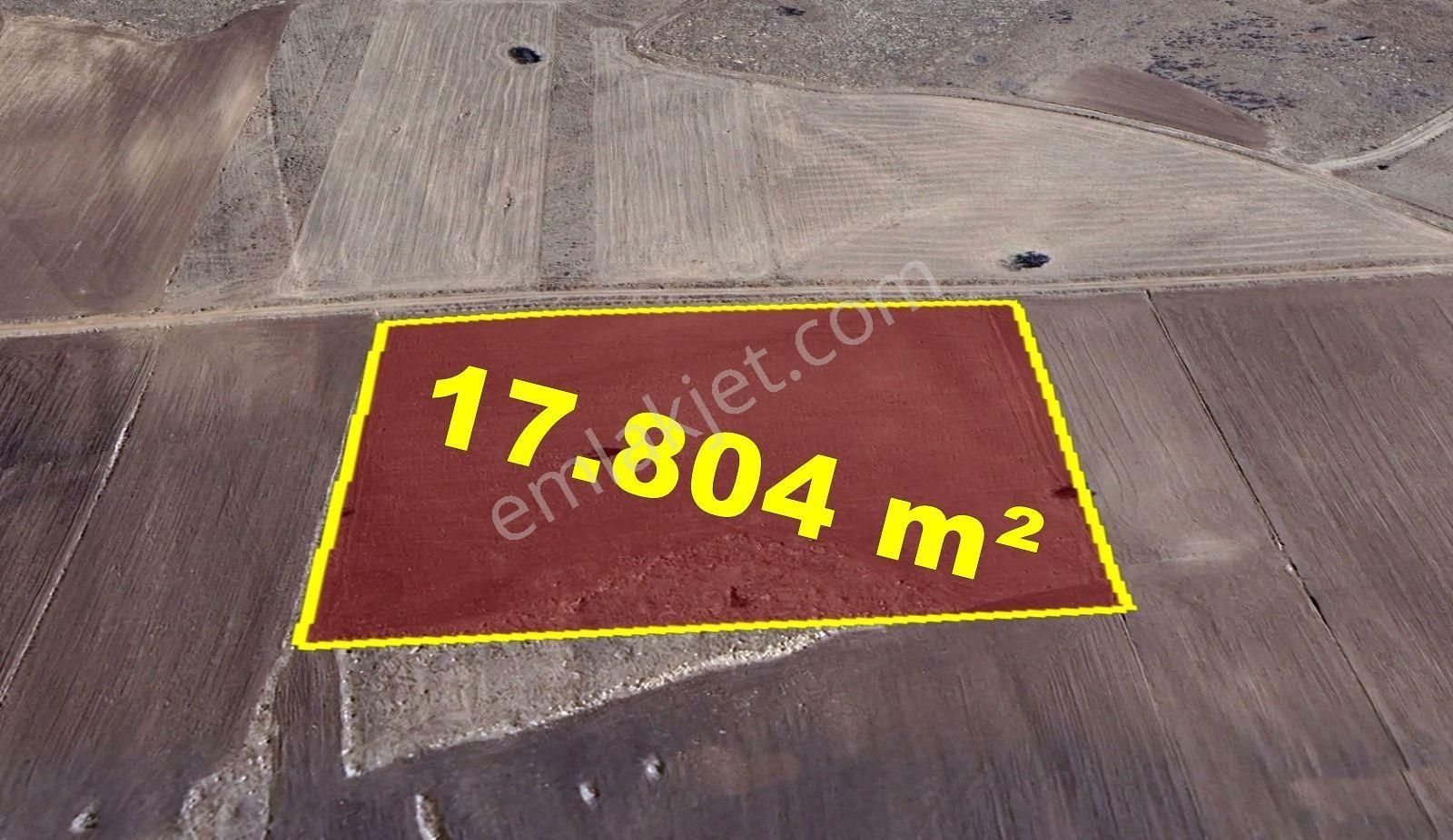 Konya / Akören / Orhaniye Mahallesinde 17.804 M² Müstakil Tapulu Tarla - Görsel 5